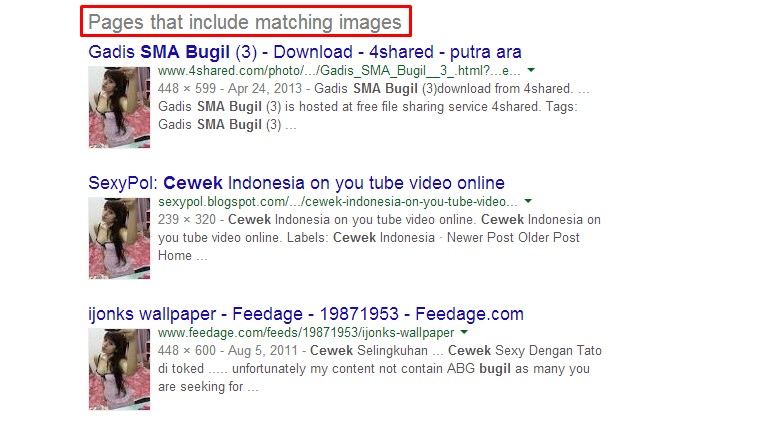 Hasil pencarian ini memuat laman yang memiliki gambar sama.